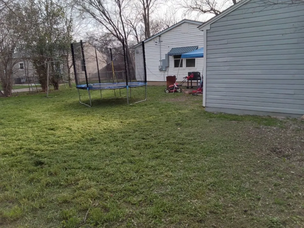 Local landscaping services for beautiful yards in Killeen, TX by The Lawn Warrior