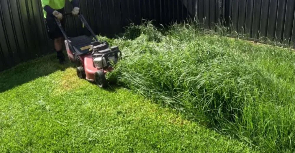 Trusted lawn mowing service in Richmond, TX by The Lawn Whisperers