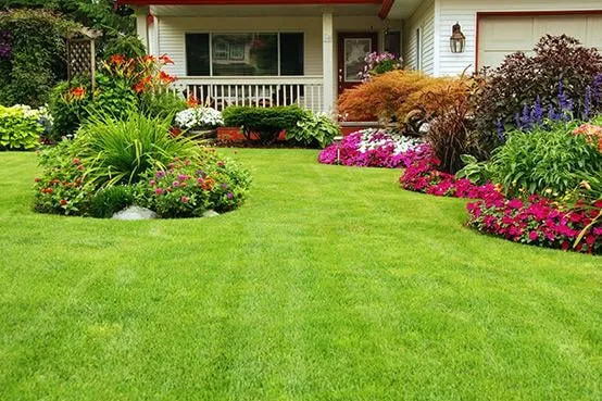 Professional landscape installation in Fort Myers, FL - The Lawn Wolf