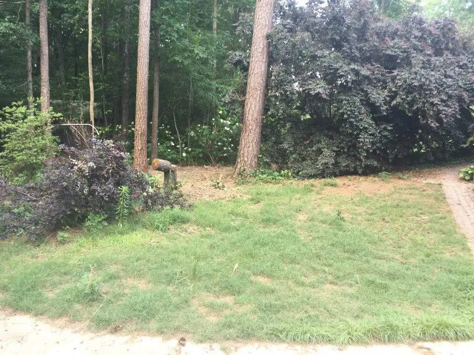 Trusted landscape installation experts serving Springville, AL - The Lawn Works