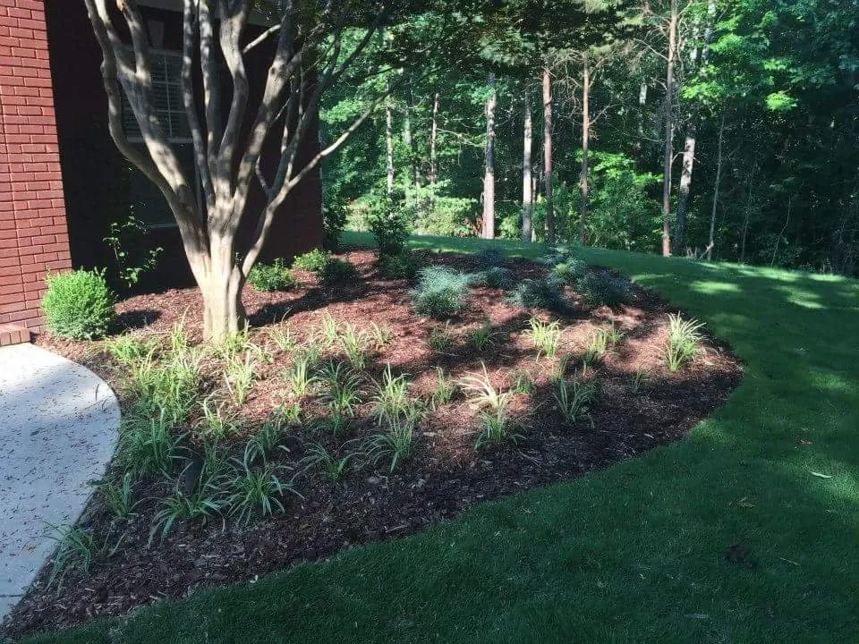Expert yard maintenance experts serving Springville, AL - The Lawn Works