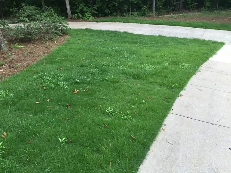 Affordable landscape design near you in Springville, AL by The Lawn Works