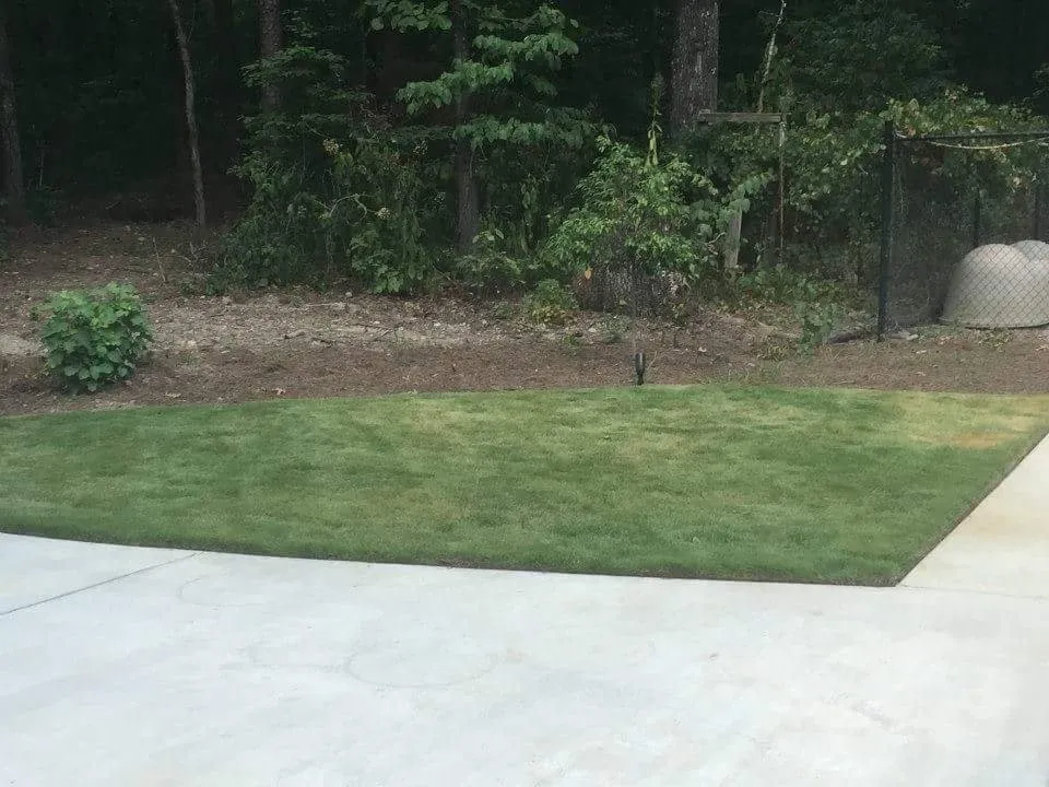 Professional garden landscaping experts serving Springville, AL - The Lawn Works