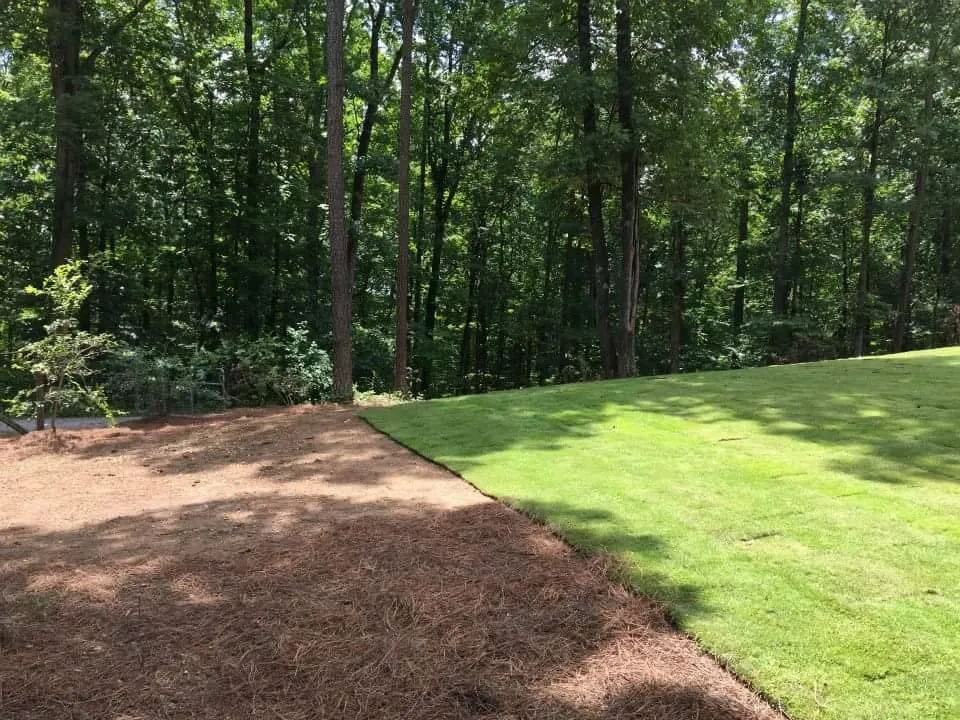 Trusted landscape installation in Springville, AL - The Lawn Works