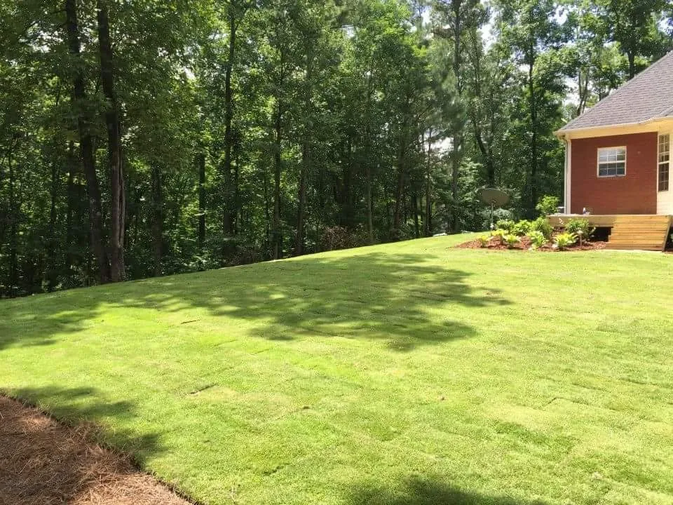 Local landscape design for beautiful yards in Springville, AL by The Lawn Works