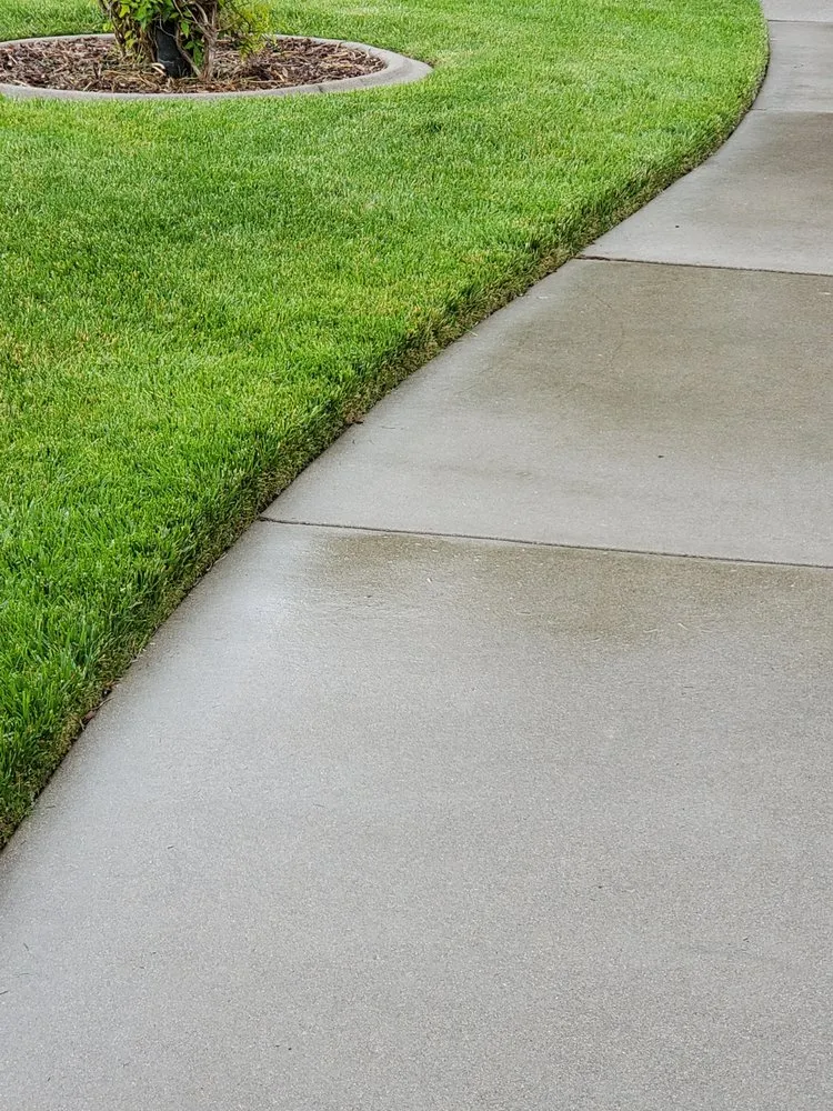 Reliable yard cleanup service in Boise, ID by The Lawnfather