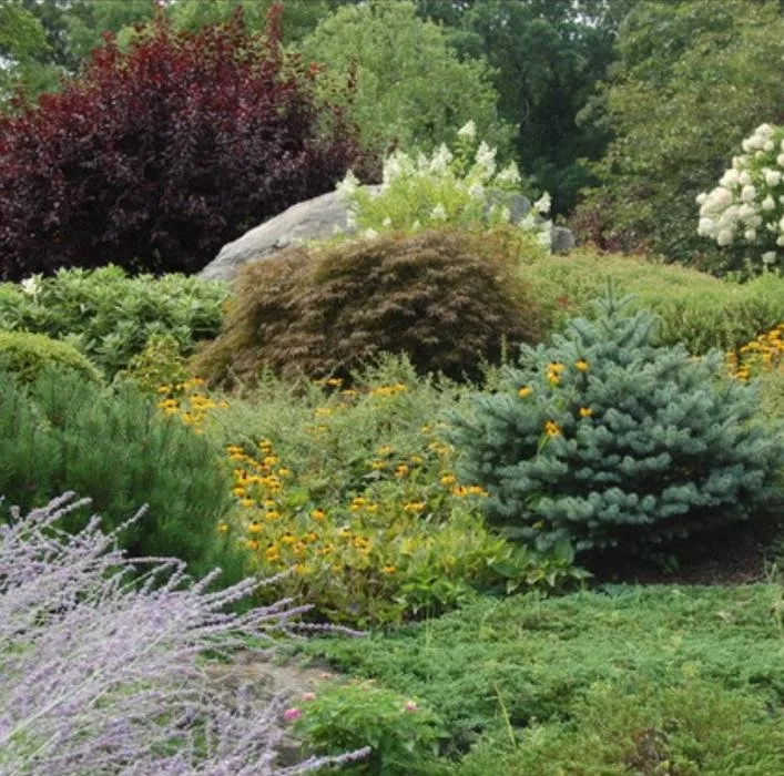 Professional yard cleanup service for homes in Brandon, IA by The LawnFather