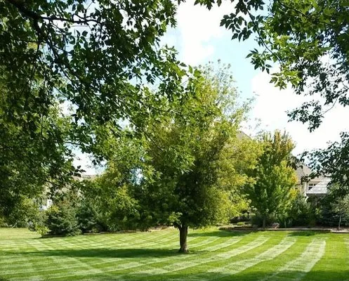 The LawnFather Logo