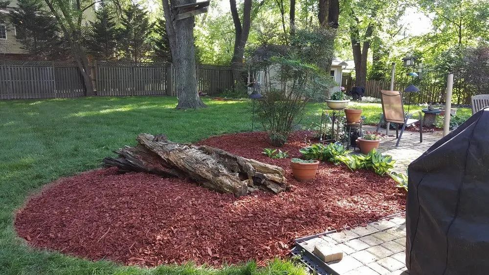 Top-rated yard cleanup service experts serving Burke, VA - The Lawnfather