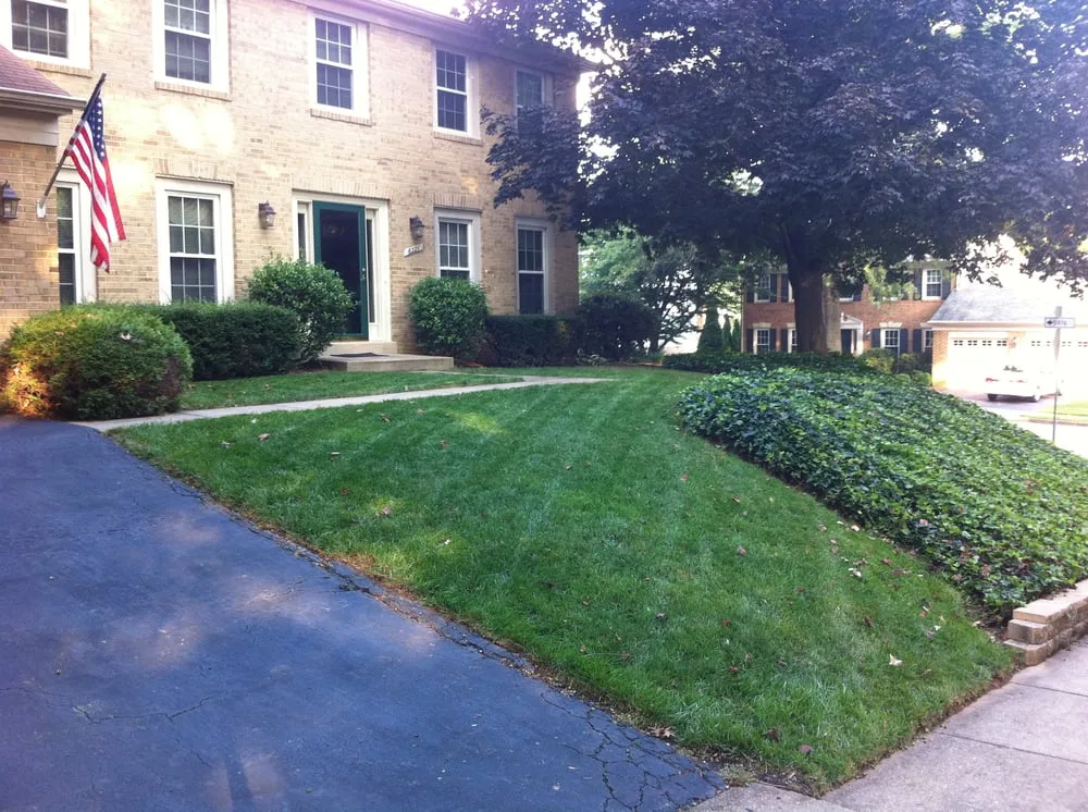 Top-rated yard maintenance in Burke, VA by The Lawnfather