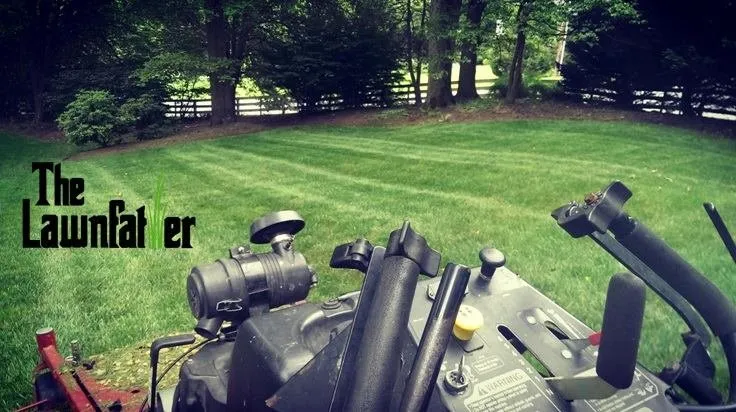 Local yard cleanup service experts serving Burke, VA - The Lawnfather