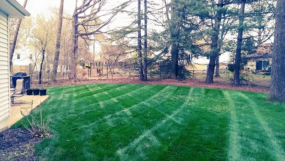 Reliable lawn care service experts serving Burke, VA - The Lawnfather