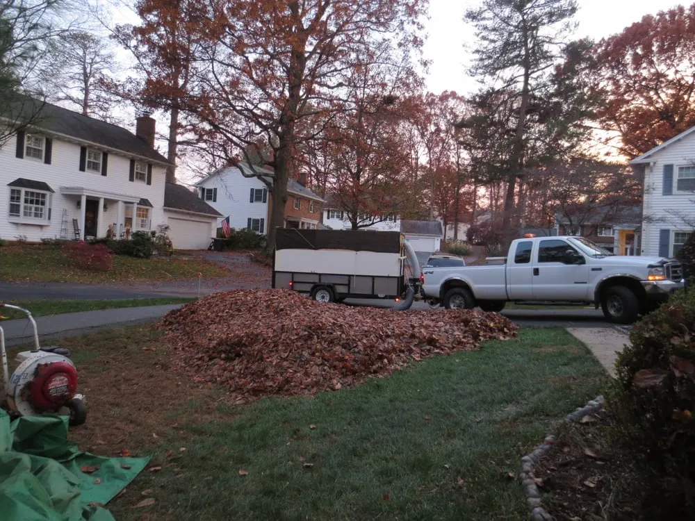 Professional landscape design experts serving Burke, VA - The Lawnfather