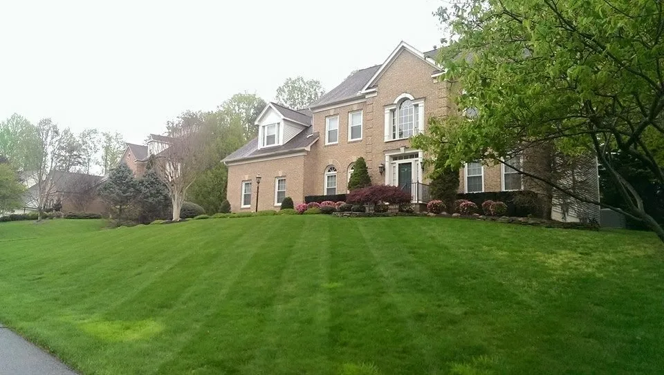 Top-rated outdoor landscaping near you in Burke, VA by The Lawnfather