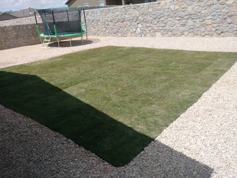 Top-rated yard maintenance with custom design in Las Cruces, NM by The Lawnfather Exteriors