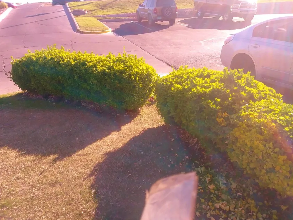 Custom landscaping services for outdoor upgrades in Las Cruces, NM by The Lawnfather Exteriors