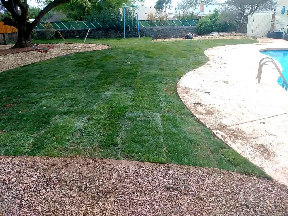 Expert yard maintenance with custom design in Las Cruces, NM by The Lawnfather Exteriors