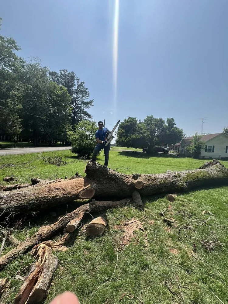 Reliable landscape installation experts serving Water Valley, KY - The Lawnfather