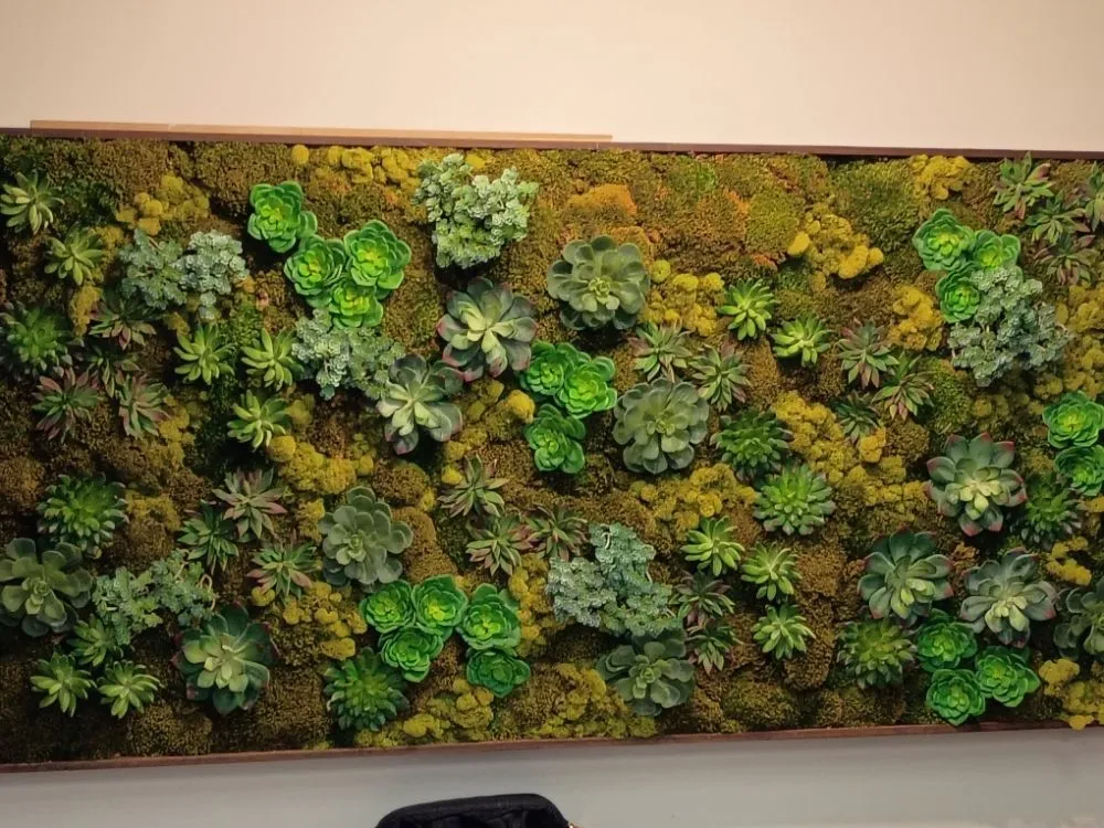 Top-rated landscaping services in Murrieta, CA - The Lawnkeeper