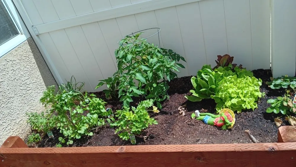 Custom landscaping services in Murrieta, CA - The Lawnkeeper