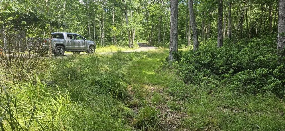 Reliable residential landscaping experts serving Exeter, PA - The Lawnmower Man