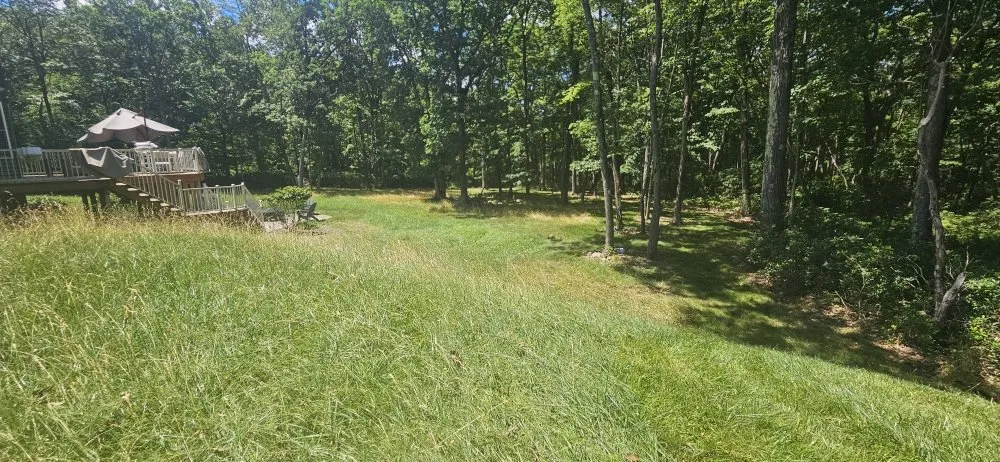 Professional landscape installation experts serving Exeter, PA - The Lawnmower Man