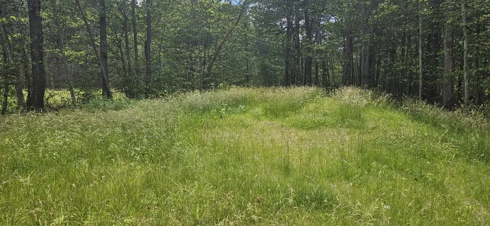 Affordable landscaping services experts serving Exeter, PA - The Lawnmower Man