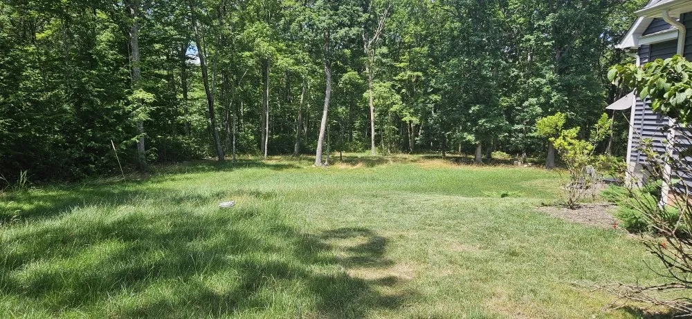 Custom lawn mowing service for year-round maintenance in Exeter, PA by The Lawnmower Man