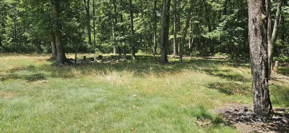 Custom landscape design in Exeter, PA by The Lawnmower Man