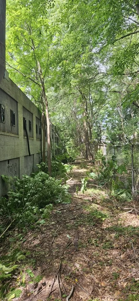 Trusted lawn mowing service in Exeter, PA by The Lawnmower Man