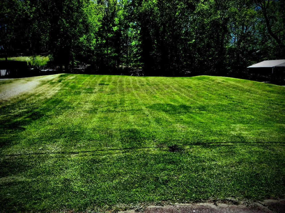 Top-rated landscape design in Gillsville, GA by The Lawnmower Man