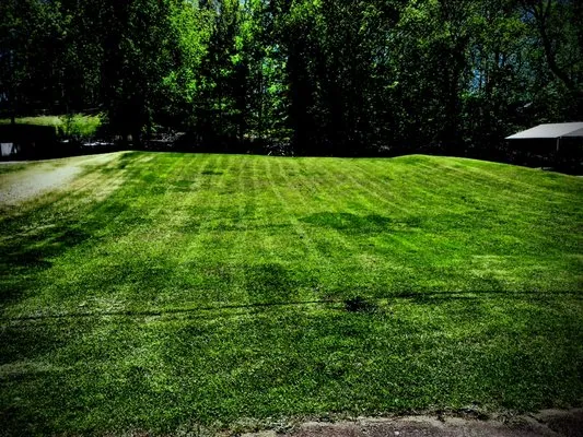 The Lawnmower Man