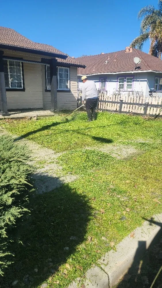 Top-rated garden landscaping in San Jose, CA - The Lawnmowerman