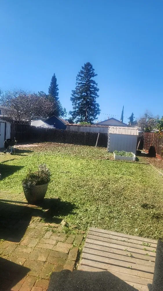 Reliable lawn care service experts serving San Jose, CA - The Lawnmowerman