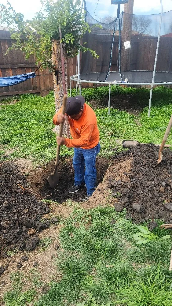 Professional lawn care service in San Jose, CA - The Lawnmowerman