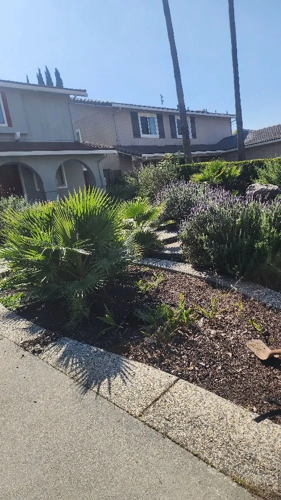 Affordable landscape installation experts serving San Jose, CA - The Lawnmowerman