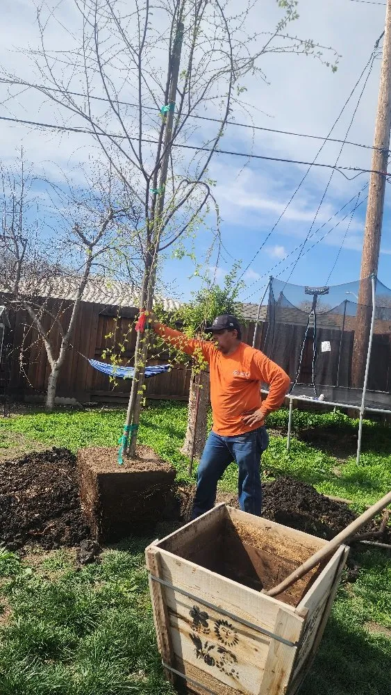 Trusted garden landscaping experts serving San Jose, CA - The Lawnmowerman