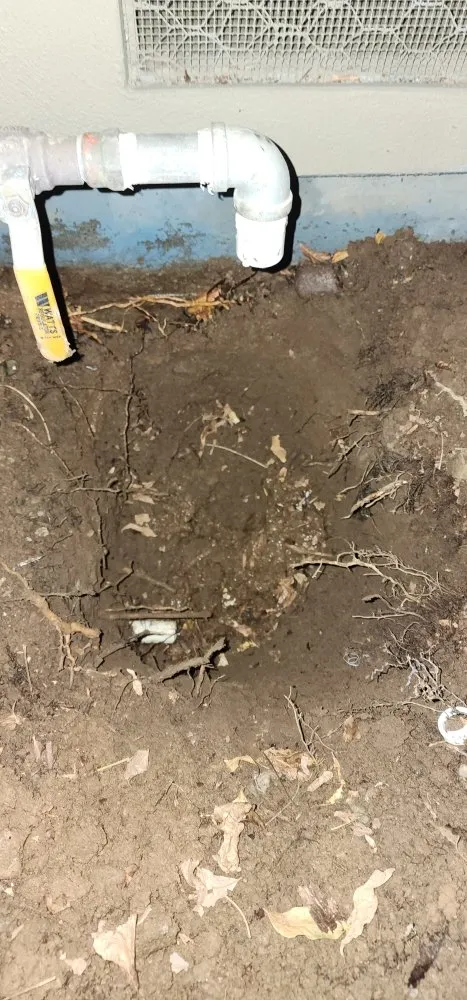 Professional yard cleanup service for year-round maintenance across San Jose, CA - The Lawnmowerman