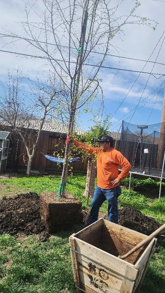 Custom landscape installation experts serving San Jose, CA - The Lawnmowerman