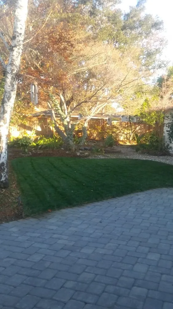 Top-rated yard cleanup service experts serving San Jose, CA - The Lawnmowerman