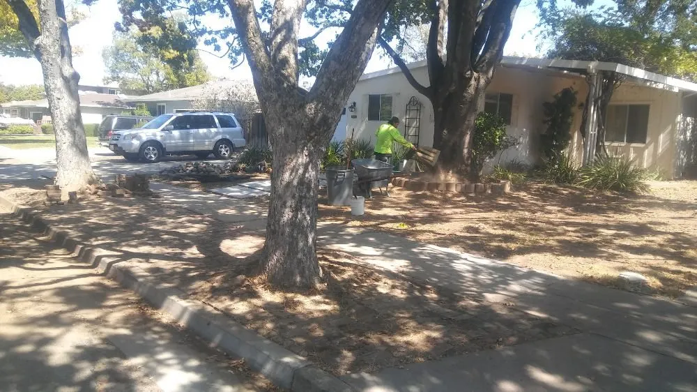 Trusted lawn care service in San Jose, CA - The Lawnmowerman