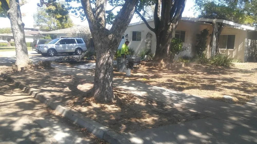 Trusted landscaping services in San Jose, CA by The Lawnmowerman