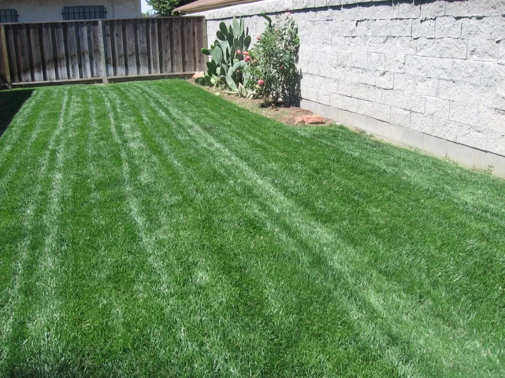 Trusted residential landscaping in San Jose, CA - The Lawnmowerman
