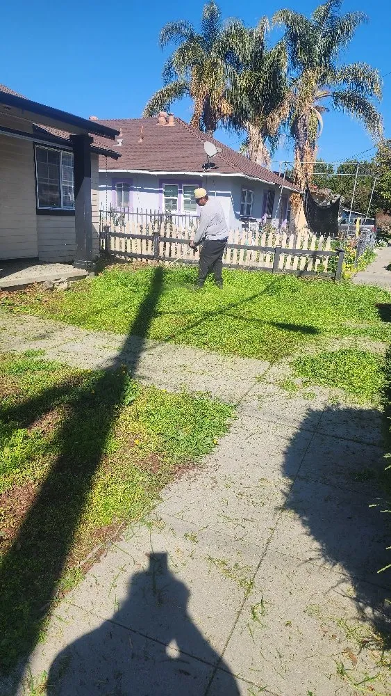 Affordable lawn mowing service in San Jose, CA - The Lawnmowerman