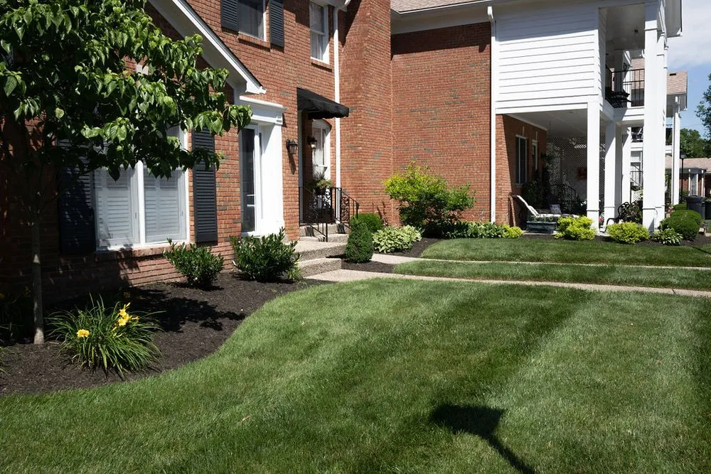Top-rated yard cleanup service near you in Louisville, KY by The LawnPro