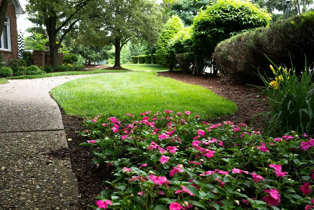 Affordable lawn mowing service in Louisville, KY by The LawnPro