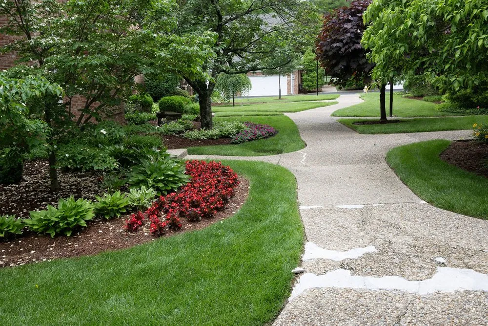 Professional yard maintenance in Louisville, KY by The LawnPro