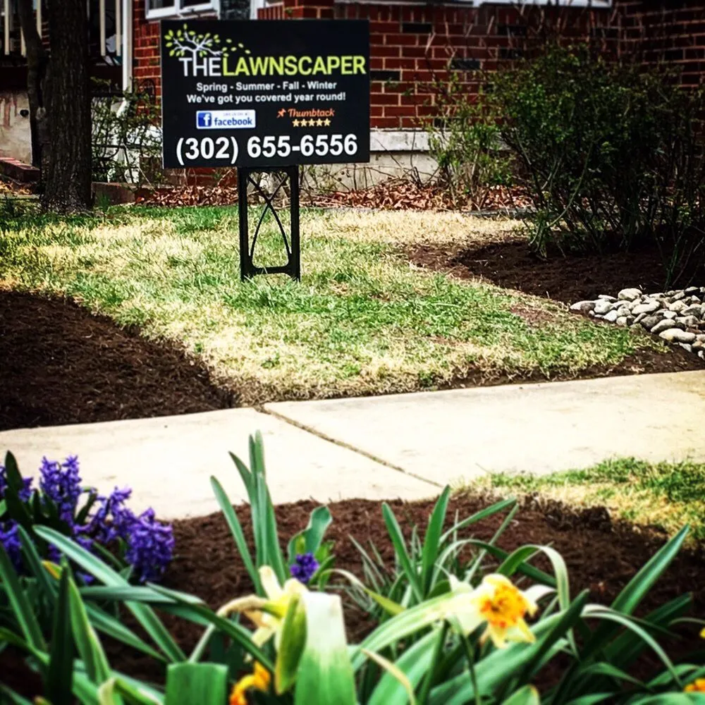 Top-rated yard cleanup service in Wilmington, DE - The Lawnscaper