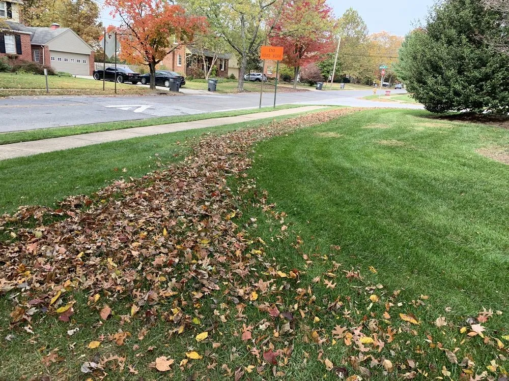 Professional outdoor landscaping for outdoor upgrades across Wilmington, DE - The Lawnscaper