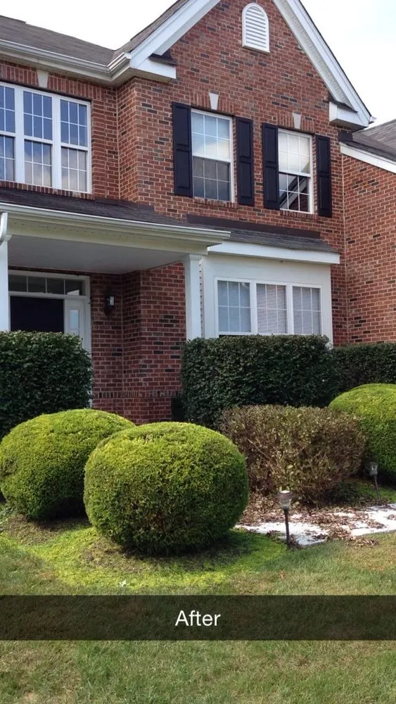 Affordable landscape design for year-round maintenance across Wilmington, DE - The Lawnscaper